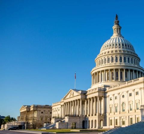 Government Agency Scams